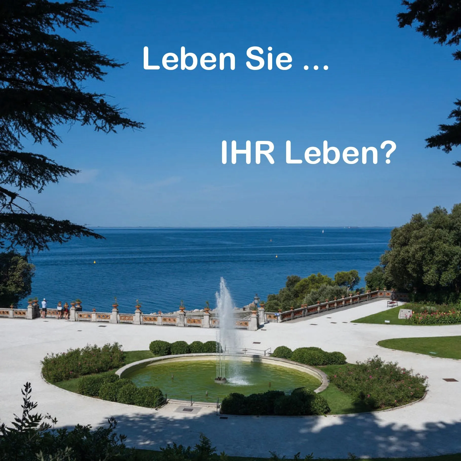 Leben Sie Bild